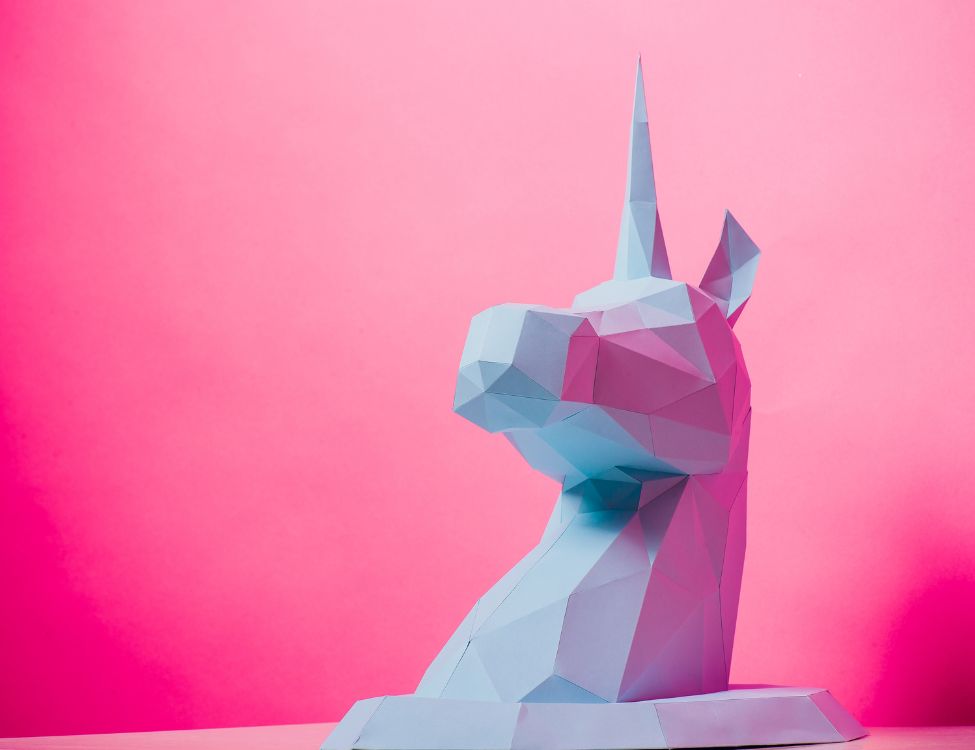 Innovation und Digitalisierungs Unicorn